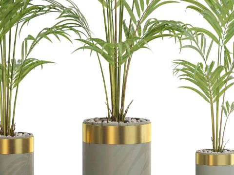 Plants collection 654 3D Model