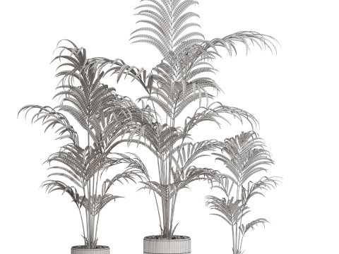 Plants collection 654 3D-Modell