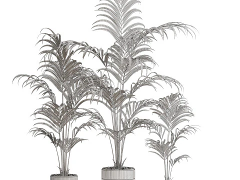 Plants collection 654 3D Model