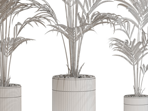 Plants collection 654 3D-Modell