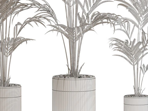Plants collection 654 3D Model