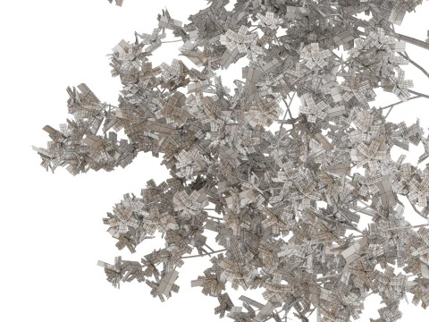Plants collection 655 3D Model