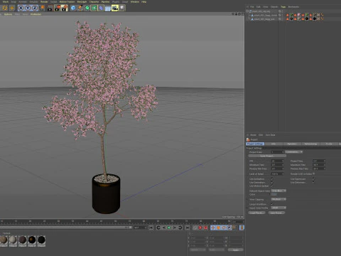 Plants collection 655 3D Model