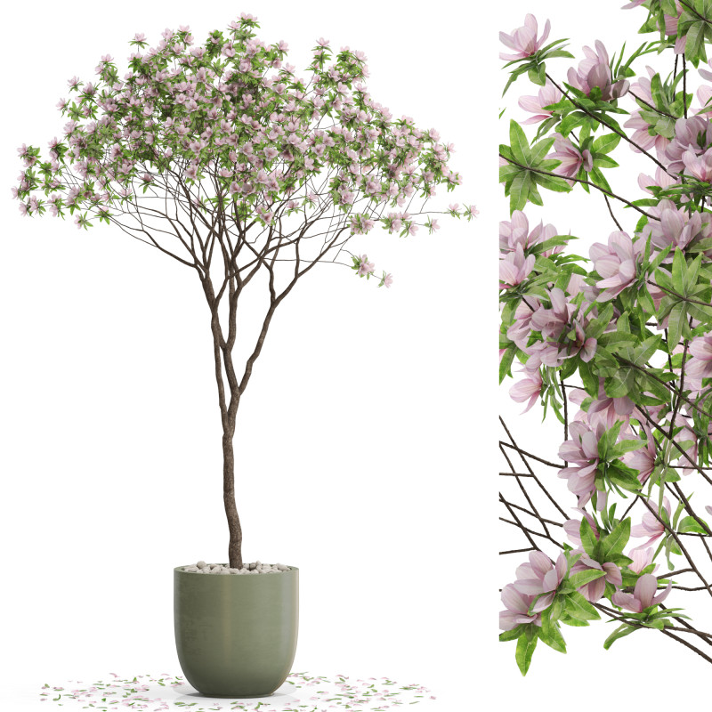 Plants collection 656 3D मॉडल .c4d .max .obj .3ds .fbx .stl .blend 