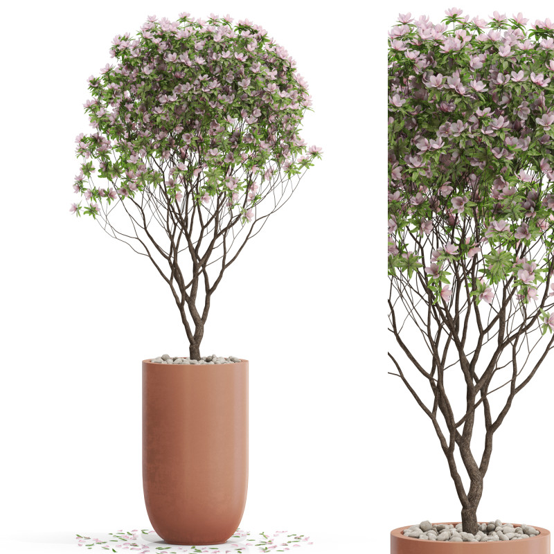 Plants collection 657 Modello 3D .c4d .max .obj .3ds .fbx .stl .blend 
