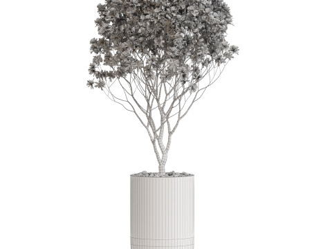 Plants collection 657 Modello 3D