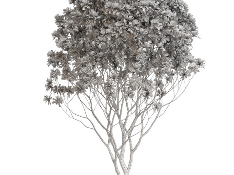 Plants collection 657 Modello 3D