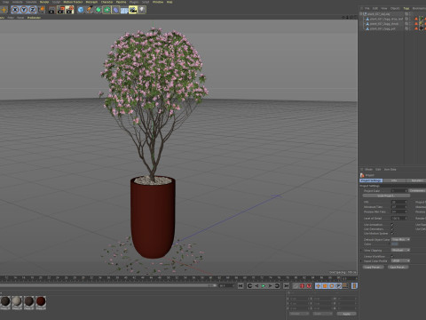 Plants collection 657 Modello 3D