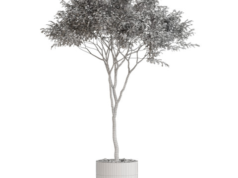Plants collection 658 3D Model