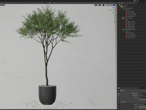 Plants collection 658 3D Model