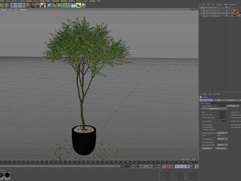 Plants collection 658 3D Model