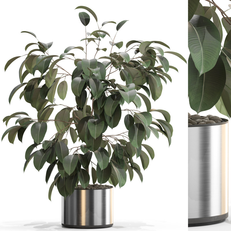 植物コレクション 660 3Dモデル .c4d .max .obj .3ds .fbx .stl .blend