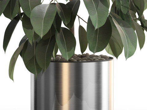 植物コレクション 660 3Dモデル