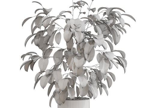 植物コレクション 660 3Dモデル