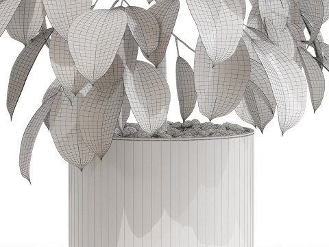 植物コレクション 660 3Dモデル