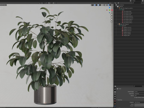 植物コレクション 660 3Dモデル
