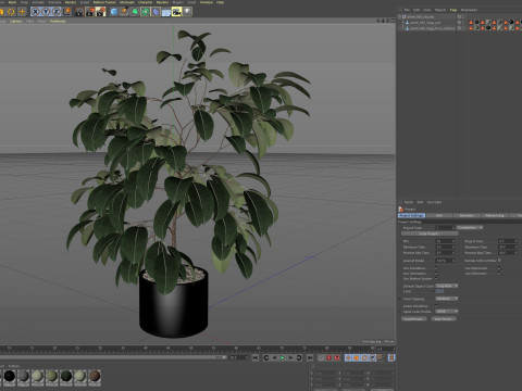 植物コレクション 660 3Dモデル