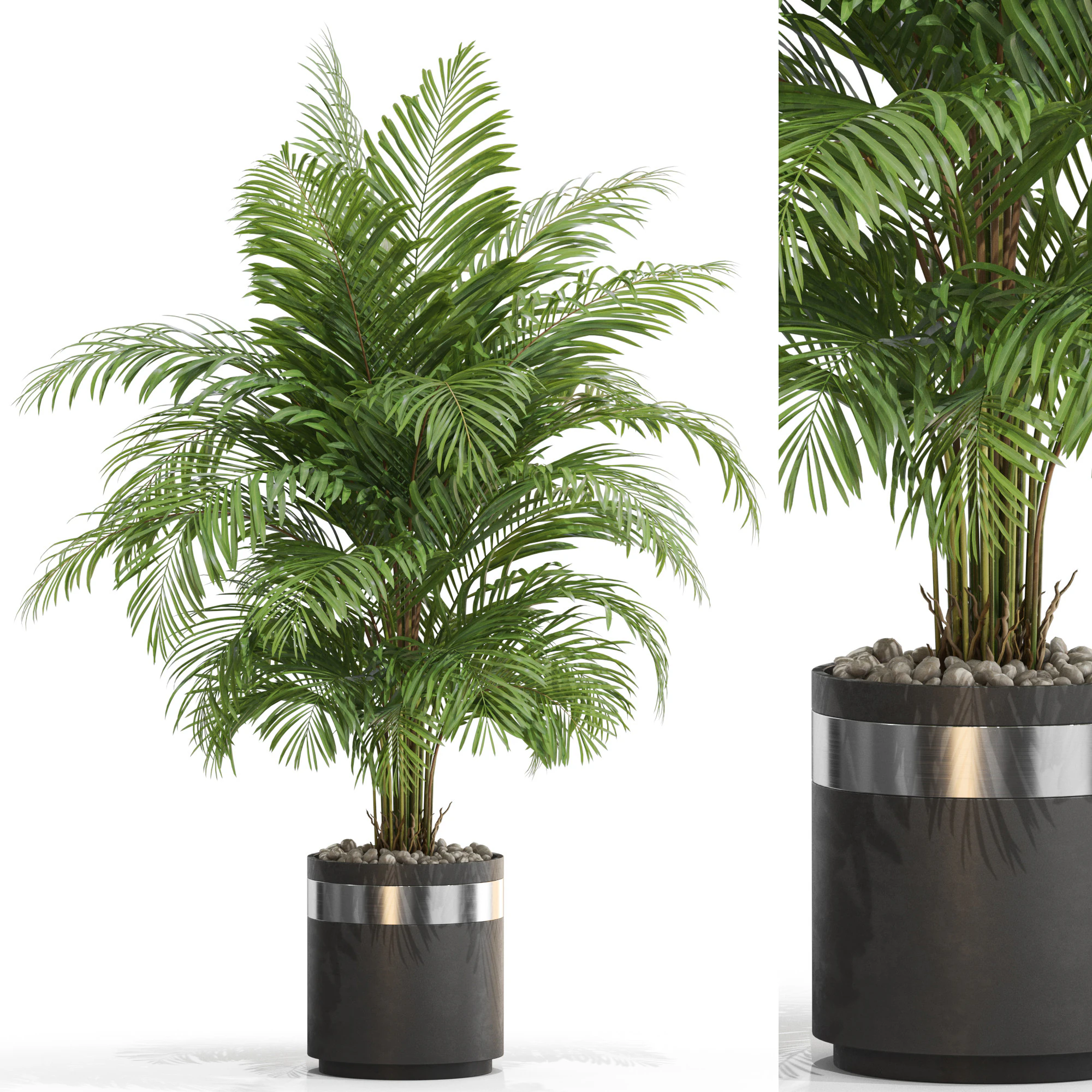 Plants collection 661 3D Model .c4d .max .obj .3ds .fbx .stl .blend 