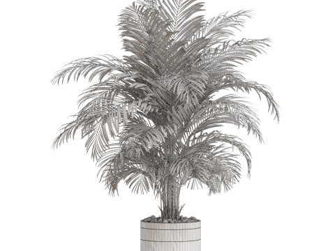 Plants collection 661 Modèle 3D