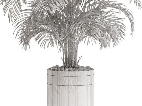 Plants collection 661 Modèle 3D