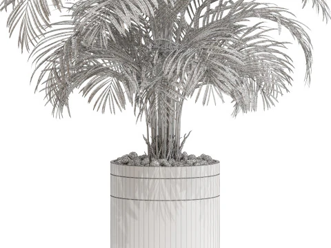 Plants collection 661 3D Model
