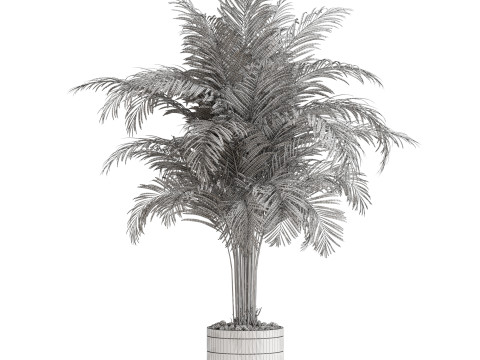 Plants collection 662 3Dモデル