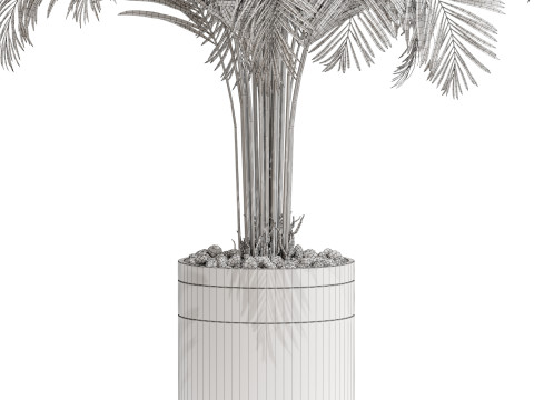 Plants collection 662 3Dモデル