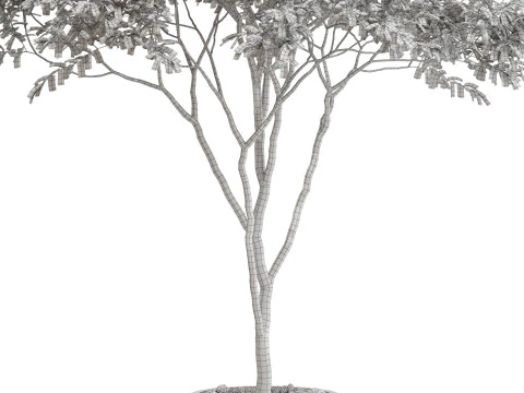 Plants collection 663 3D Model