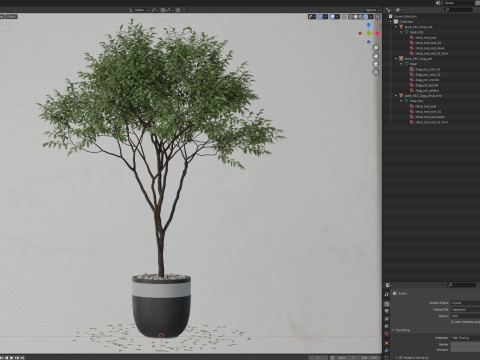 Plants collection 663 3Dモデル