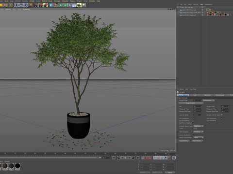 Plants collection 663 3Dモデル