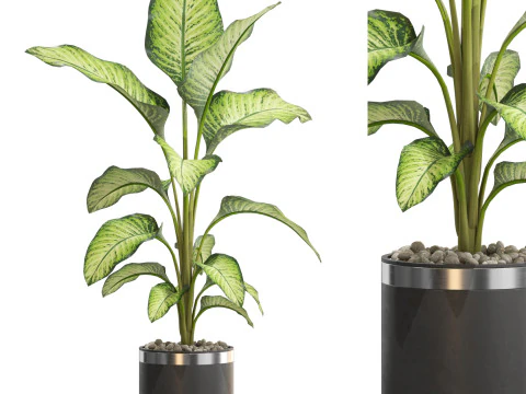 Plants collection 664 3D Model