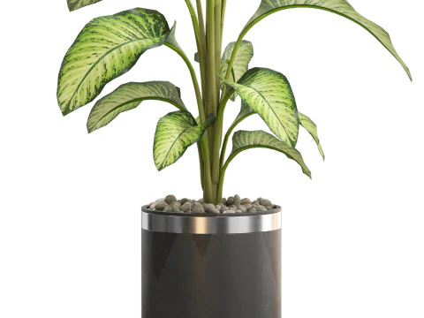 Plants collection 664 3D Model