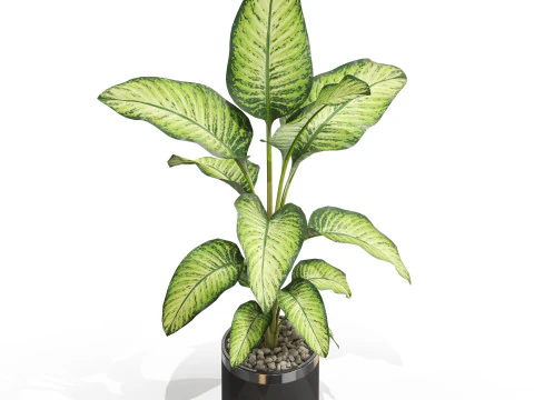 Plants collection 664 3D Model