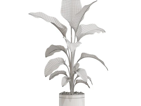 Plants collection 664 3D Model