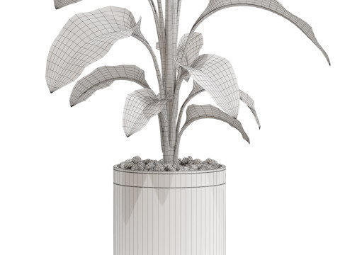 Plants collection 664 Model 3D