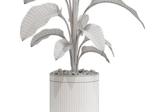 Plants collection 664 3D Model