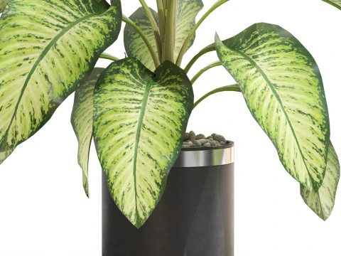 Plants collection 665 3D Model