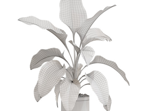 Plants collection 665 3Dモデル