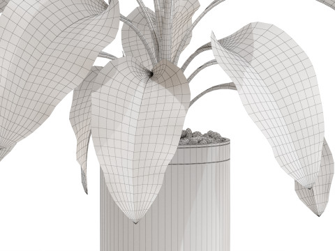 Plants collection 665 3Dモデル