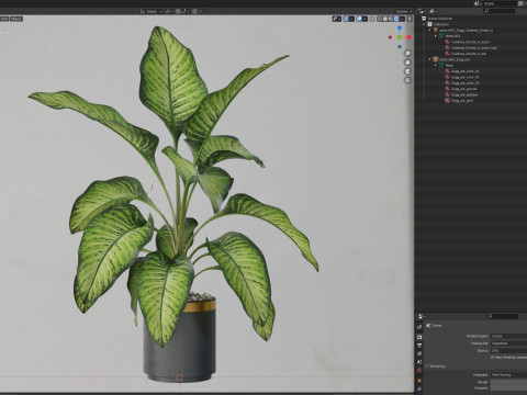 Plants collection 665 3Dモデル