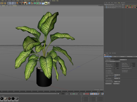 Plants collection 665 3Dモデル