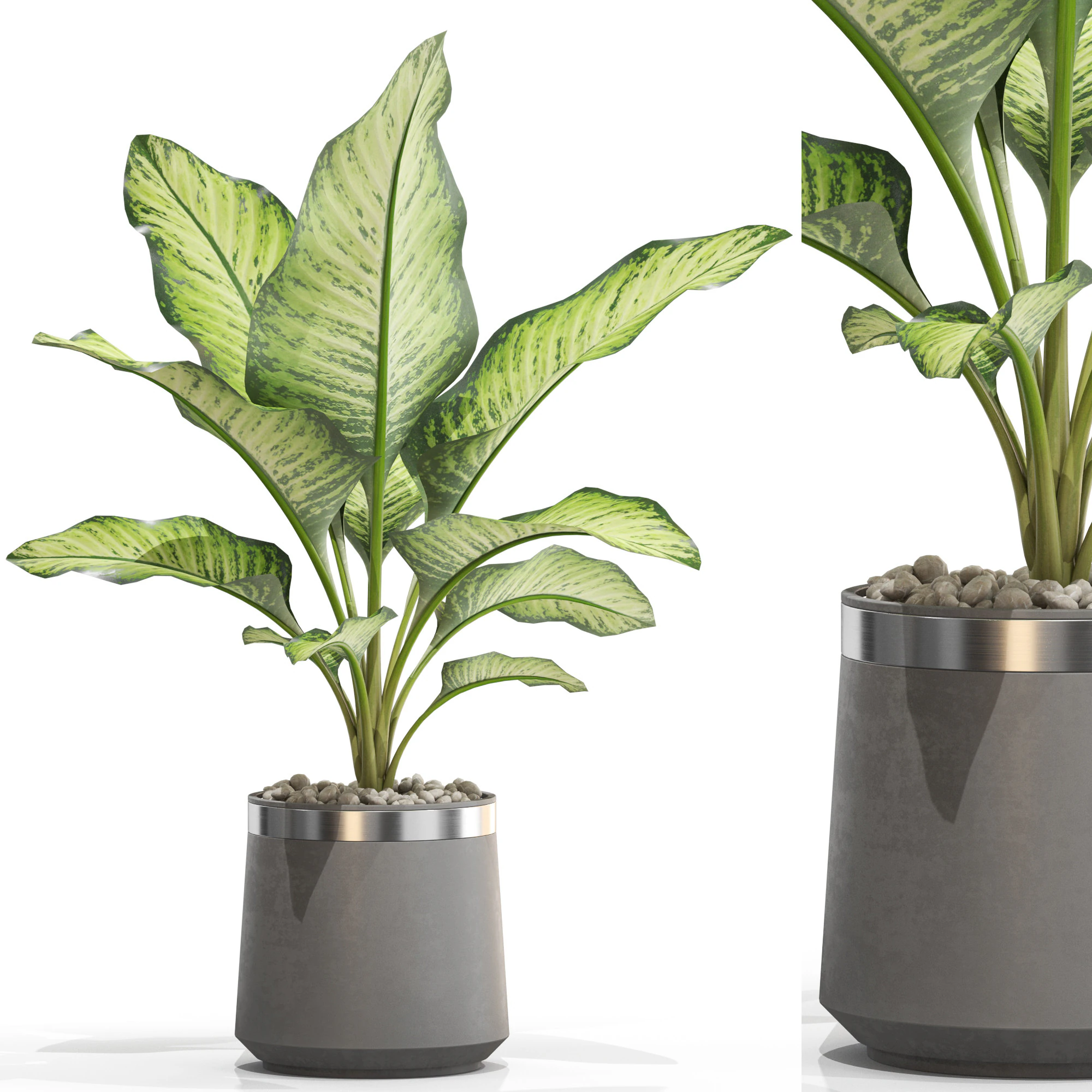 Plants collection 666 3D Model .c4d .max .obj .3ds .fbx .stl .blend 