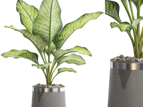 Plants collection 666 3D Model