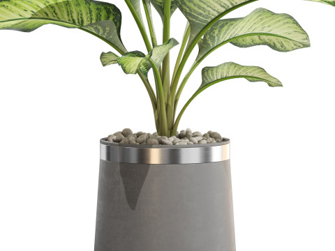 Plants collection 666 3D 模型