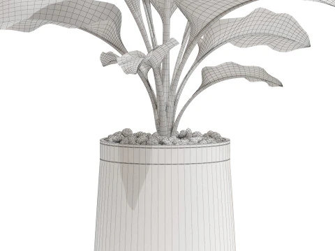 Plants collection 666 3D Model