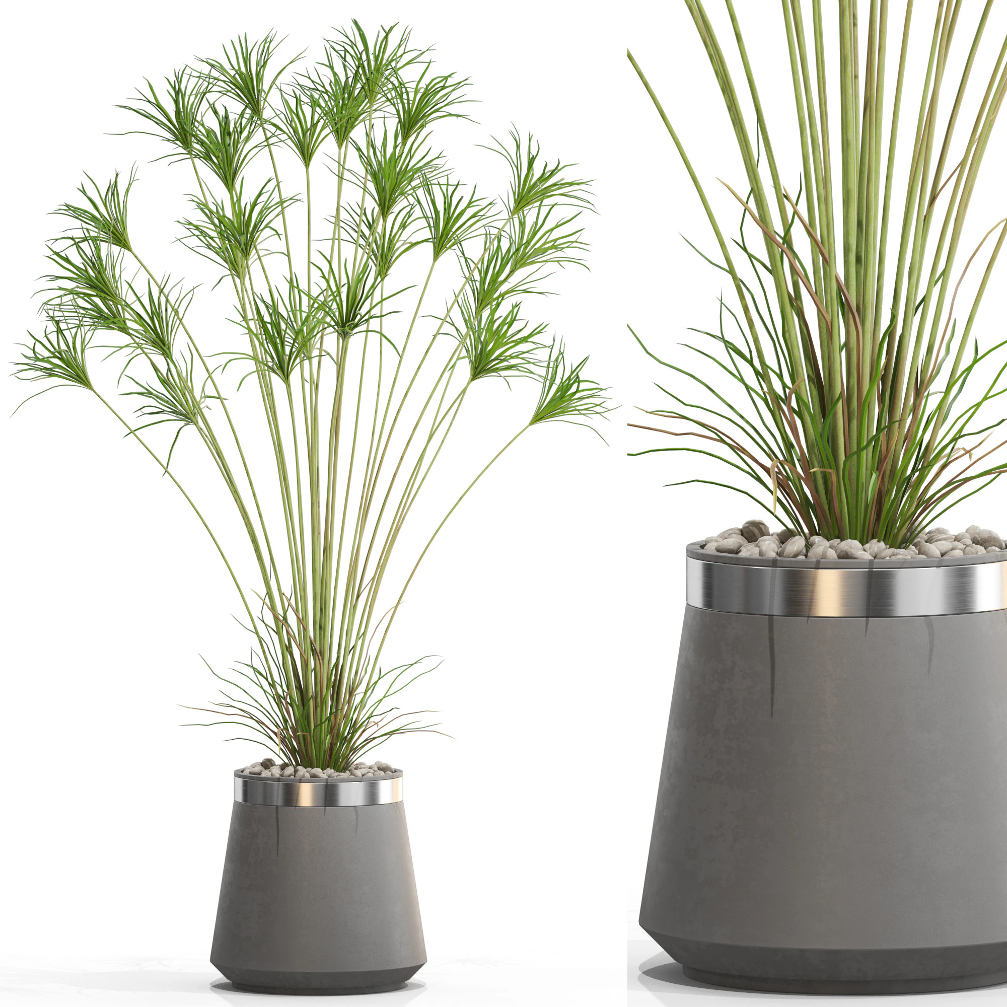 植物收藏 667 3D 模型 .c4d .max .obj .3ds .fbx .stl .blend 