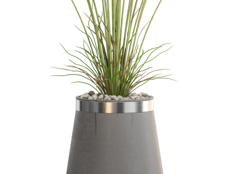Plants collection 667 Model 3D