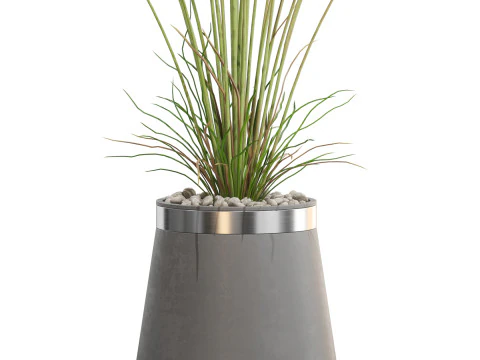 植物收藏 667 3D 模型