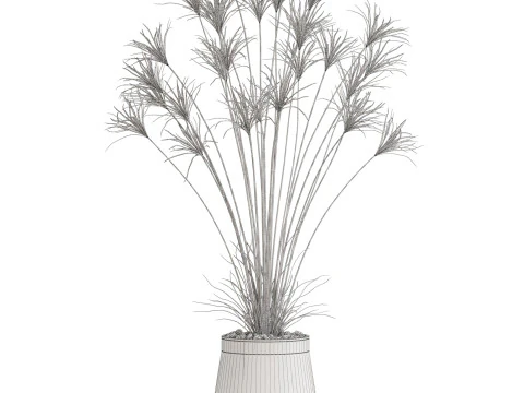 植物收藏 667 3D 模型