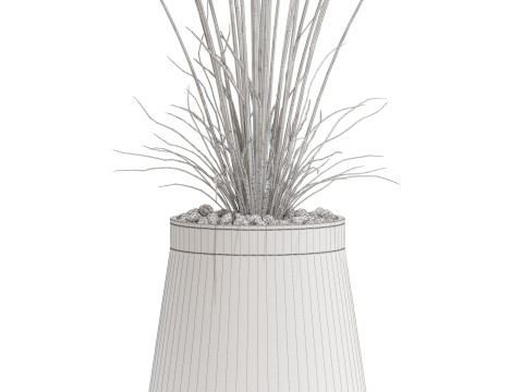 Plants collection 667 Model 3D